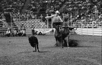 Tom Epperson Calf roping