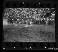 Jim Poteet Calf roping