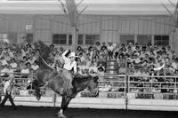 Sparky Keutham on Stetson