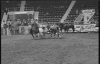 Punch Hennigan Steer wrestling