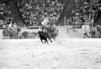 Ron Williams Calf roping