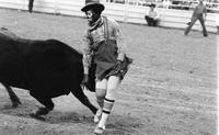 Joe Gaskin on Bull #-11