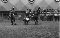 Chas. Thompson Steer wrestling