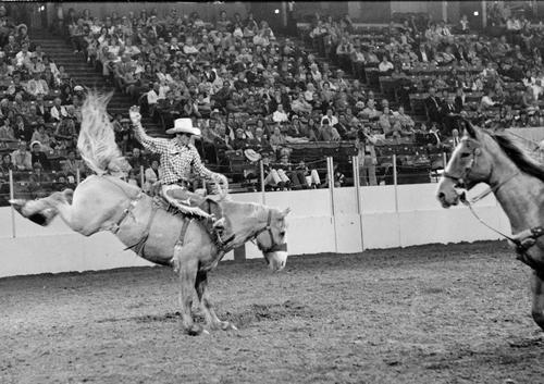 Kansas City, Roll C, 11-08 to 13-1977