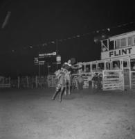 Frank Barr on unknown mount (Amateur)