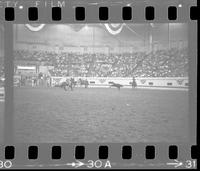 John Wilken & Carl Wilken Team roping