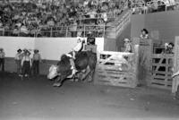 Sue Pirtle Hays, Girls Bull riding