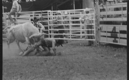 St. Louis. Roll K, 08-14 to 17-1980