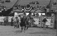 Bobby Brown on unknown bronc