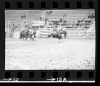 John Hudson Calf roping