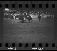 Eugene Weakley Steer wrestling