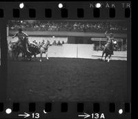 Don Douglas Steer wrestling