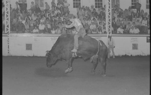 Sedalia, Roll J, 05-21 to 24-1980