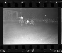 Curtis Coomes Steer wrestling