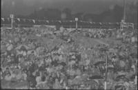 Grandstand, crowd in rain