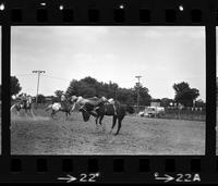 R.L. Scott on Saddle bronc #13