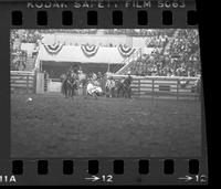 Tom Puryear Steer wrestling