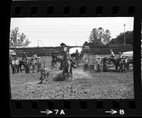 Darrel Bereutter Calf roping