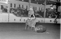 Rodeo clown Rob Smets Bull fighting with Bull #B6