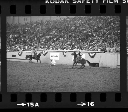 NFR, Oklahoma City, Roll AA, 8th Perf.