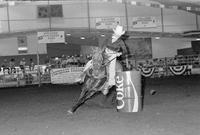 Vicki Cauthen Barrel racing
