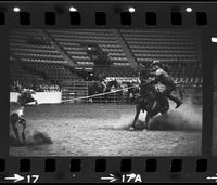 Buddy Lytle Calf roping