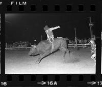 Byron Woodard on Bull #2