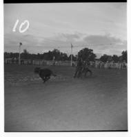 Larry Cohorn Calf roping