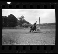 Philippa Hise Novice Barrel racing