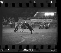 Bobby Goodspeed Calf roping, 10.2 Sec