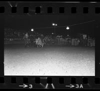 Greg Alsup Steer wrestling