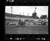 Bill Boyd on unknown Bareback