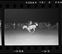 Ed DeVore on Bareback #3