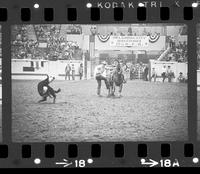 Jeff Copenhaver Calf roping