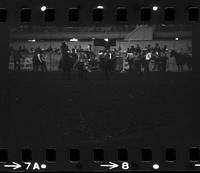 Ted Smalley Steer wrestling