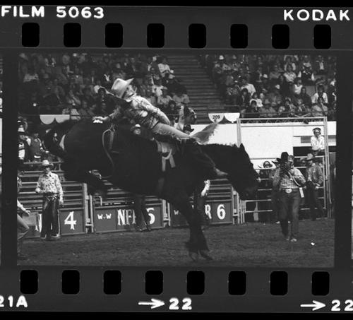 NFR, Oklahoma City, Roll B, 7th Perf. 12-11 to 14-1980