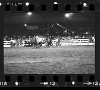 Billy Hale Steer wrestling