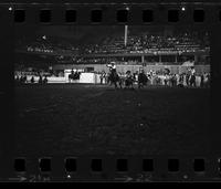 Don Urbanek Steer wrestling