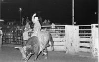 Mike McDow on Bull #5