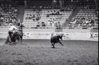 Larry Ferguson Calf roping