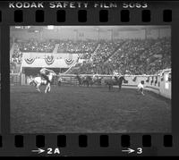 Hirdes & Melshaw Team roping