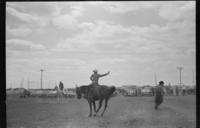 Wayne Hall Saddle bronc riding