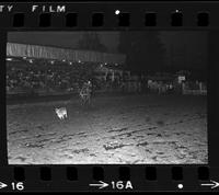 Bob Rochelle Calf roping