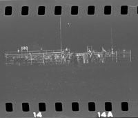 [No log sheet; unknown steer wrestlers and calf ropers]