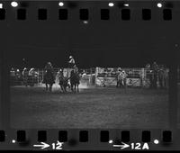 Doug Janke Steer wrestling