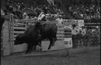 Lonnie Wyatt on Bull #52