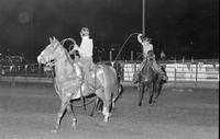 Unidentified Team ropers