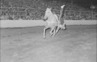 Trick riding, J.W. Stoker, Becky Tyer, & Karen Klingman