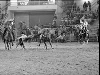 Dave Cannon Steer wrestling