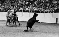 Mike McLaughlin Calf roping